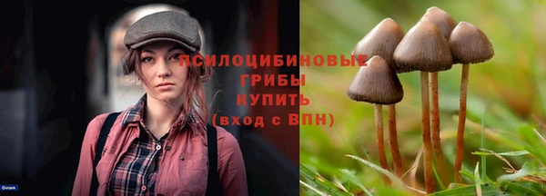 гидропоника Алзамай
