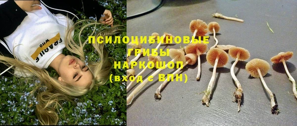 mix Алексеевка